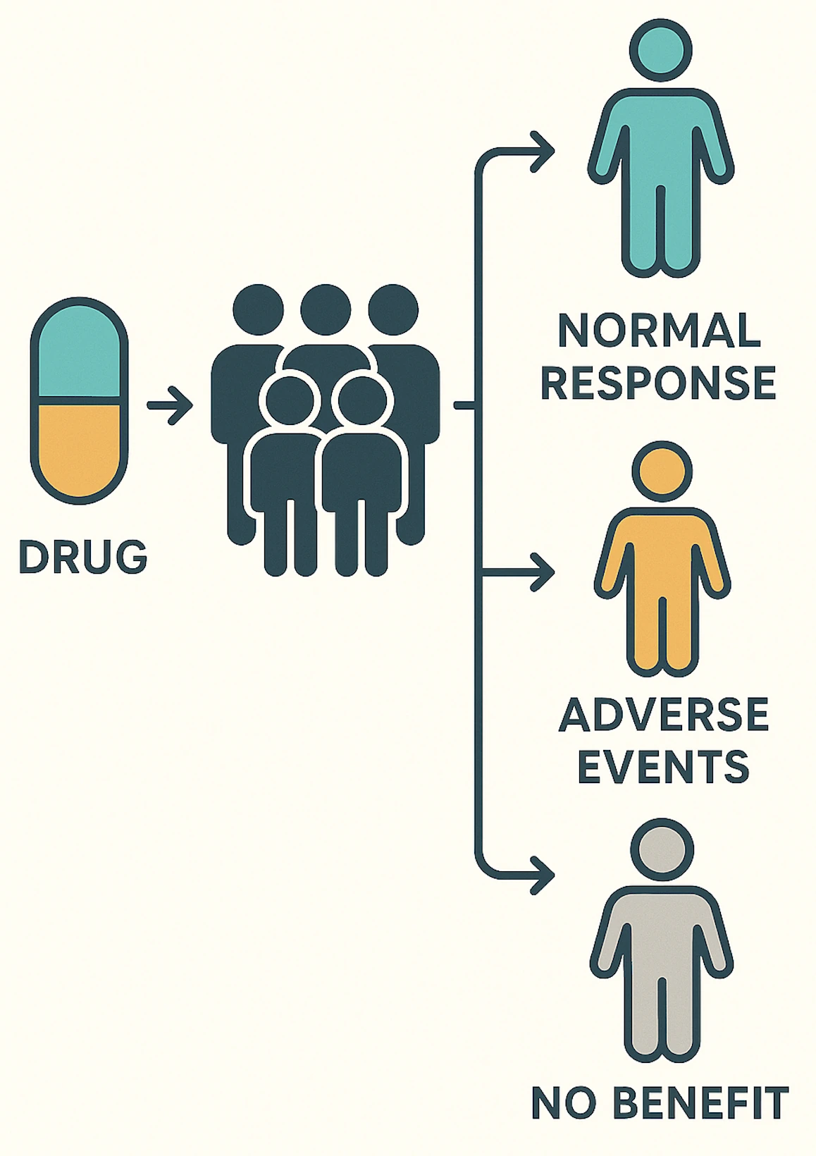 Pharmacogenetics diagram showing how genetic variations in different people lead to different drug responses