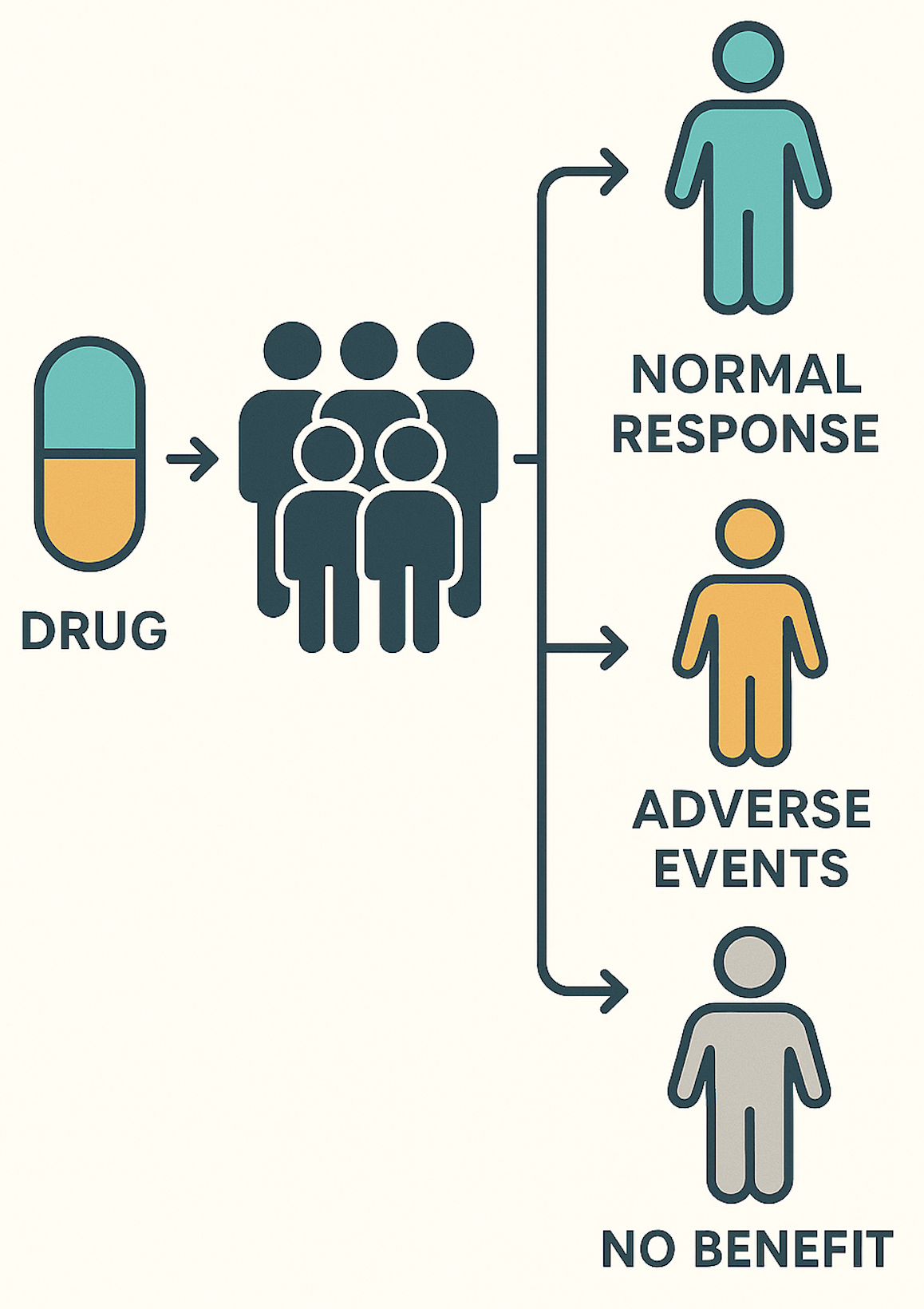 Pharmacogenetics diagram showing how genetic variations in different people lead to different drug responses